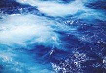 What is it Really Like to Work on a Yacht?
