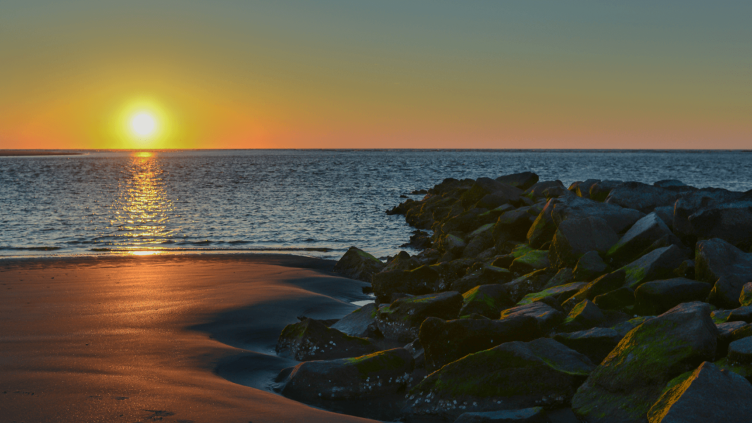 folly-beach-sc